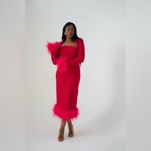 Cheri Brand Paris Dress Brand New